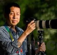 欧冠足球比分预测-欧冠风云变幻，足球比分预测的科学与艺术