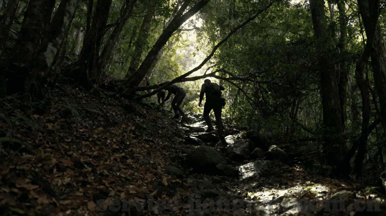 杏彩注册手机网页-杏彩注册手机网页，便捷体验与安全保障的完美结合