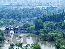 足球大比分赛事-绿茵烽火，那些震撼世界的足球大比分赛事传奇